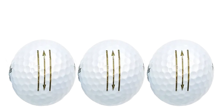 Fit39 EX GBS-3000 Golf Balls (Slv of 3 balls)