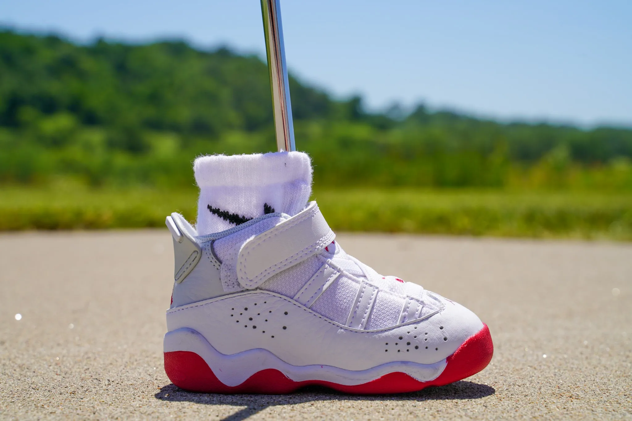 Jordan 6 Rings [MYSTIC HIBISCUS] Standing Sneaker Putter Cover