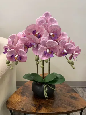 Real touch Artificial Orchid Arrangement