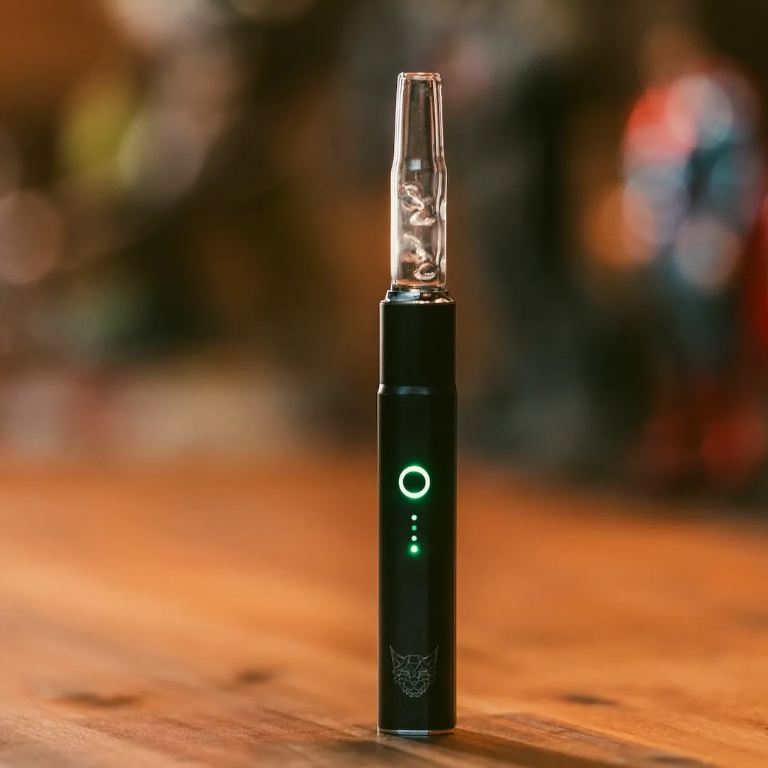 Saber Dry Herb Vaporizer