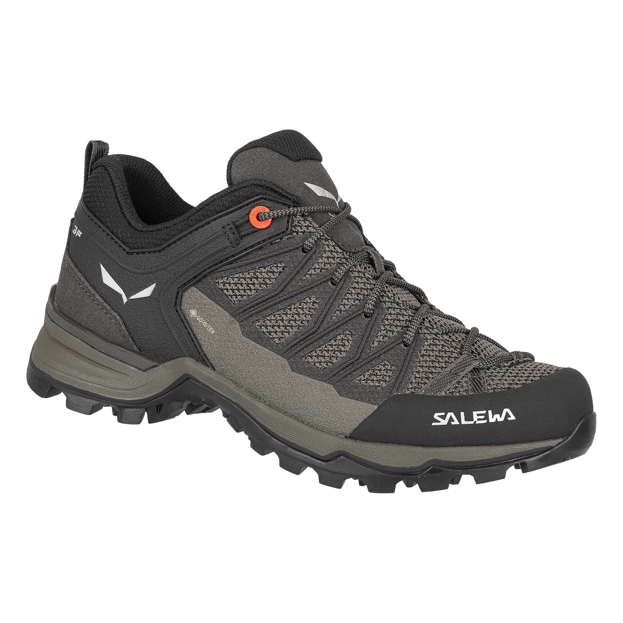 Salewa Mtn Trainer Lite Gtx Hiking Shoe Women's