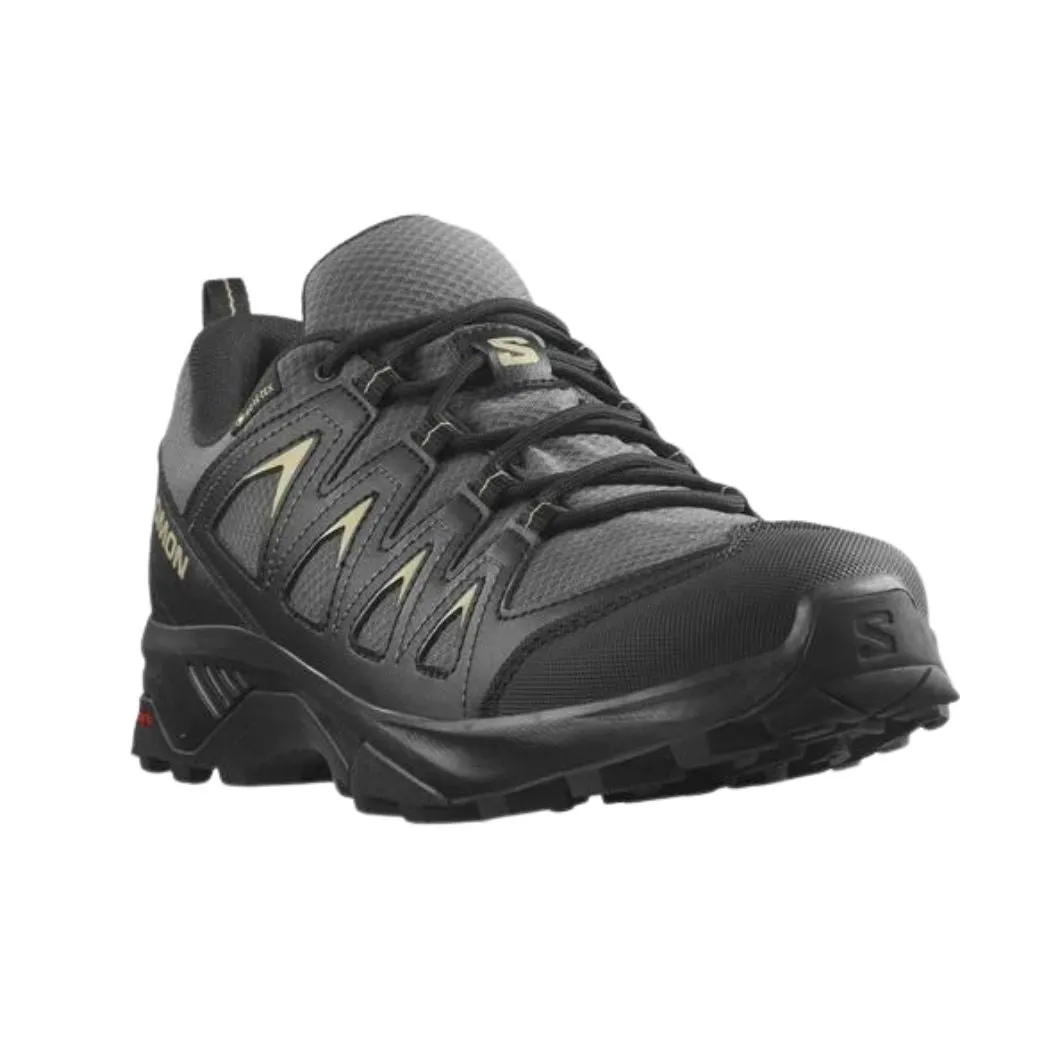 salomon X Braze GTX Men's Trail Walking Shoes